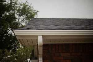 roof in Portales by Foster